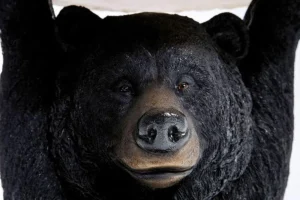 KARE Design Bijzettafel Animal Beer Ø33cm