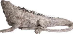 KARE Design Decofiguur Leguaan 135cm