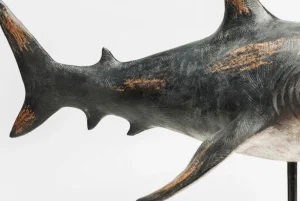 KARE Design Decofiguur Shark Base