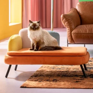 KARE Design Dierenbed Diva Orange