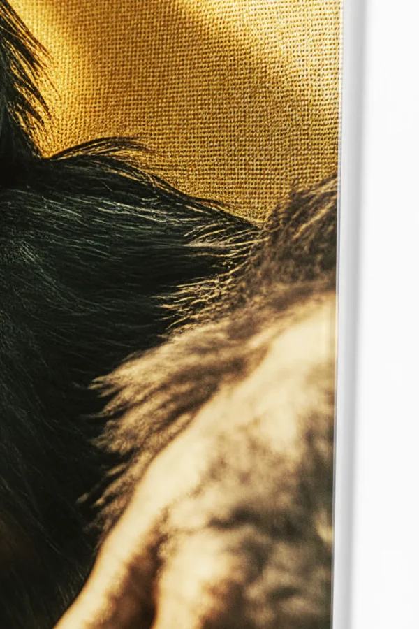 KARE Design Glasschilderij Holiday Monkey 80x60cm