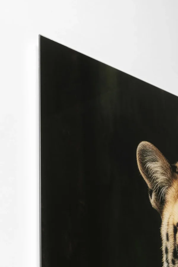 KARE Design Glasschilderij Mister Leo 100x150cm