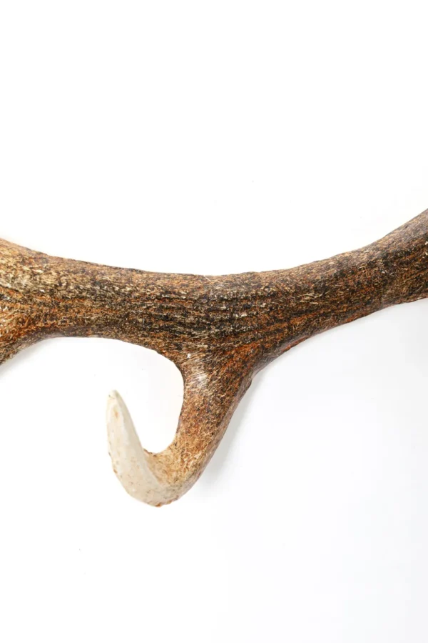KARE Design Kapstok Antler Nature