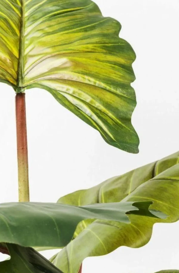 KARE Design Kunstplant Rainforest Groen 160cm