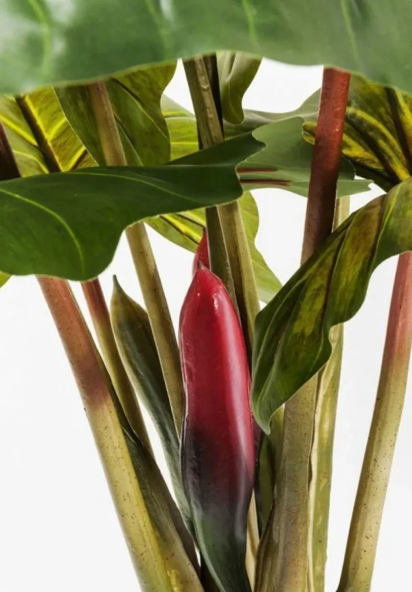 KARE Design Kunstplant Rainforest Groen 160cm