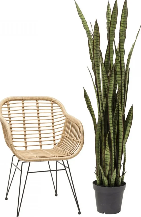 KARE Design Kunstplant Sansevieria 155cm