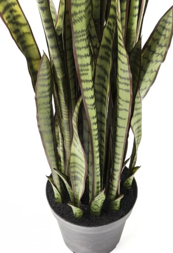 KARE Design Kunstplant Sansevieria 155cm
