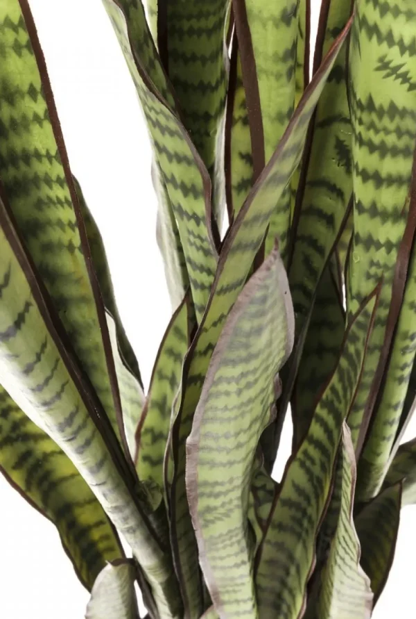 KARE Design Kunstplant Sansevieria 155cm