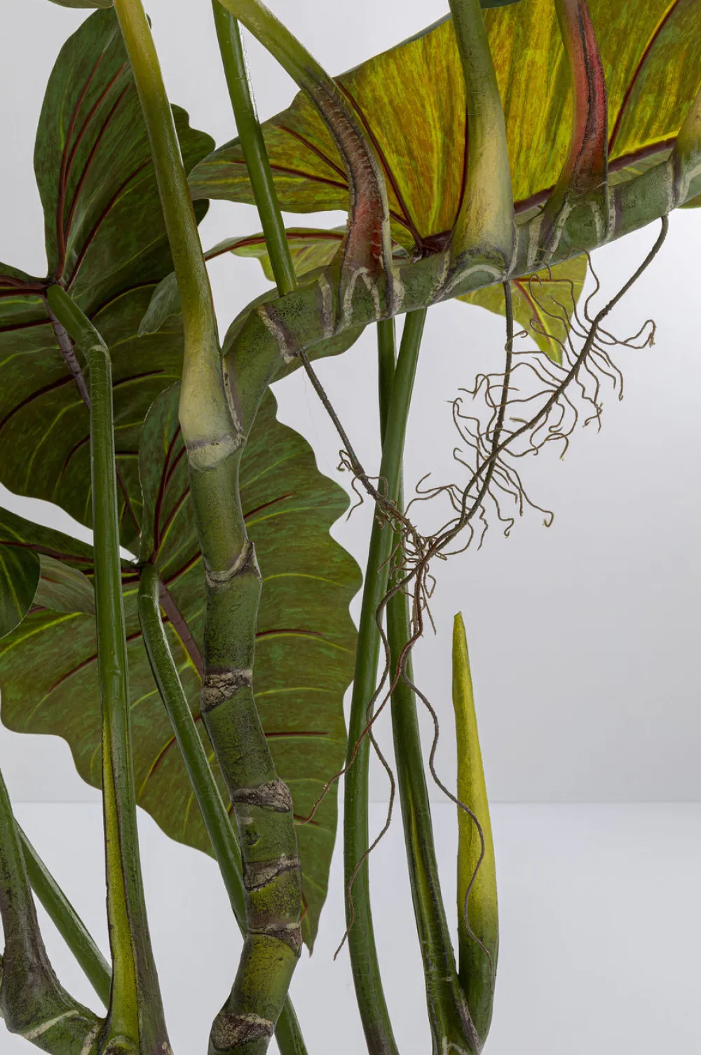 kunstplant_taro_cm_2.webp KARE Design Kunstplant Taro 180cm