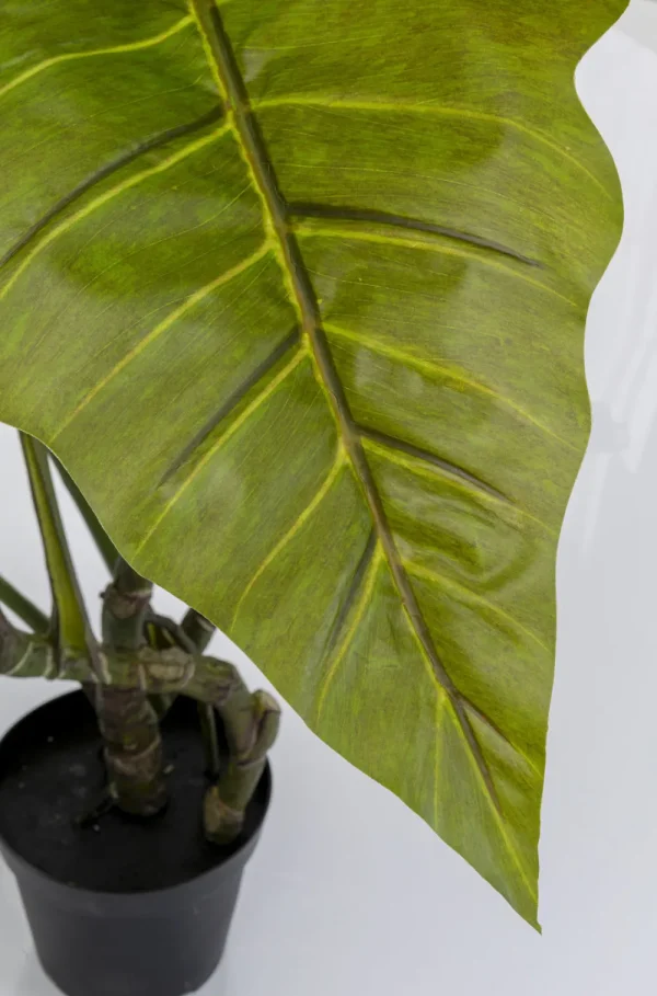 KARE Design Kunstplant Taro 180cm