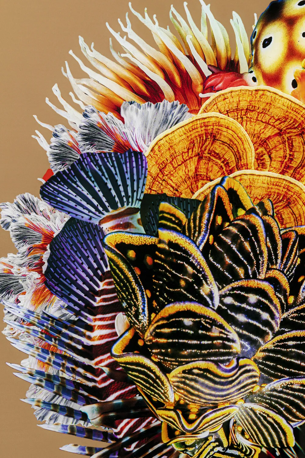 schilderij_flower_hair_xcm_3.webp KARE Design Schilderij Flower Hair 120x120cm