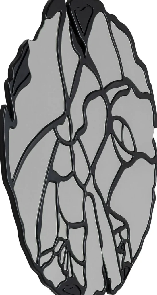 KARE Design Spiegel Pieces Mat Zwart Ø100cm