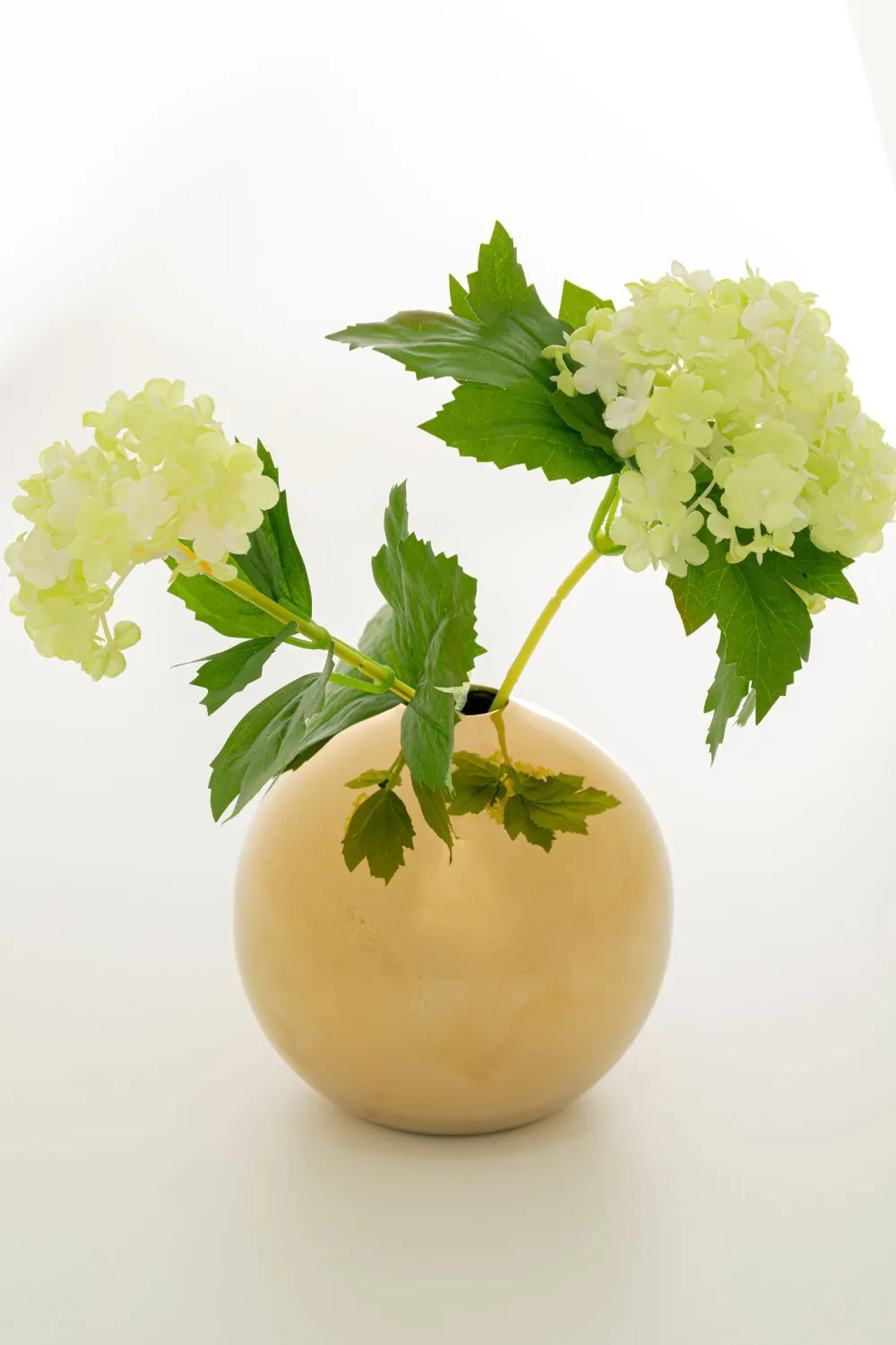 vaas_goldy_cm_1.webp KARE Design Vaas Goldy 11cm