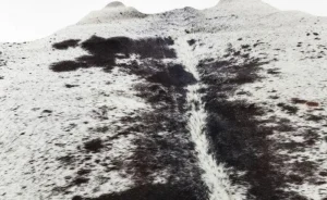 KARE Design Vloerkleed Hide Zwart-Wit