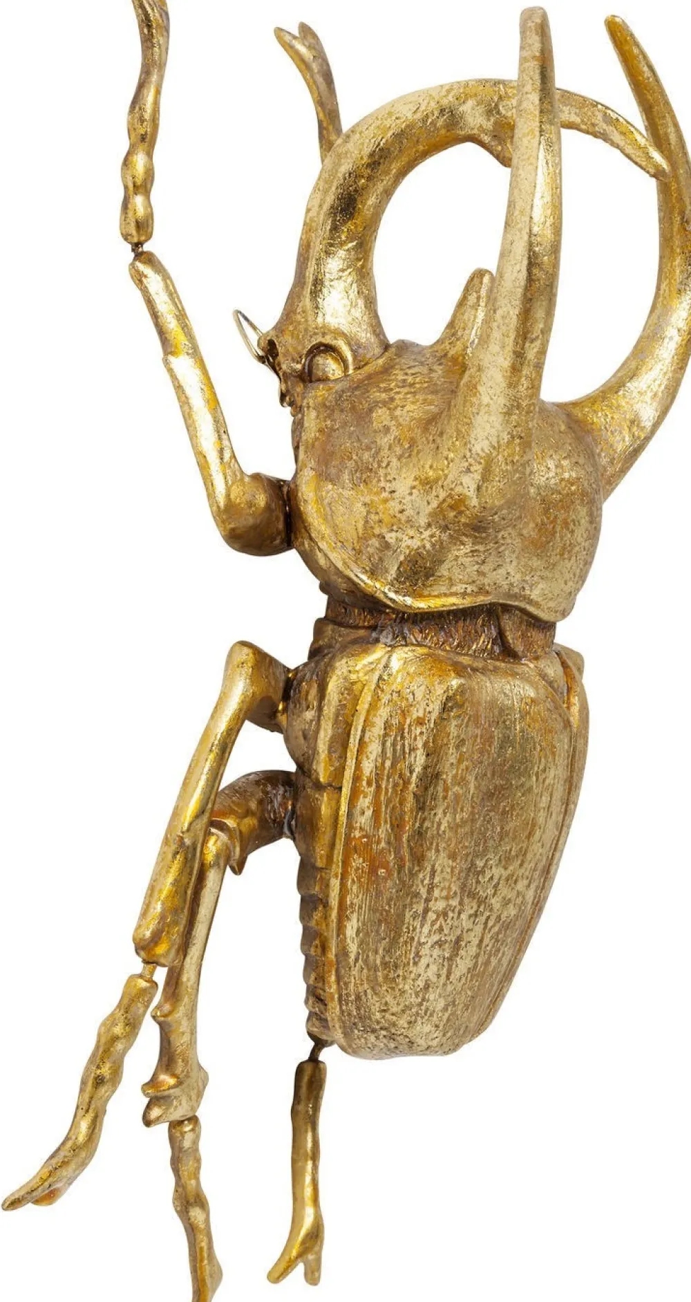 wanddecoratie_atlas_beetle_goud_2.webp KARE Design Wanddecoratie Atlas Beetle Goud