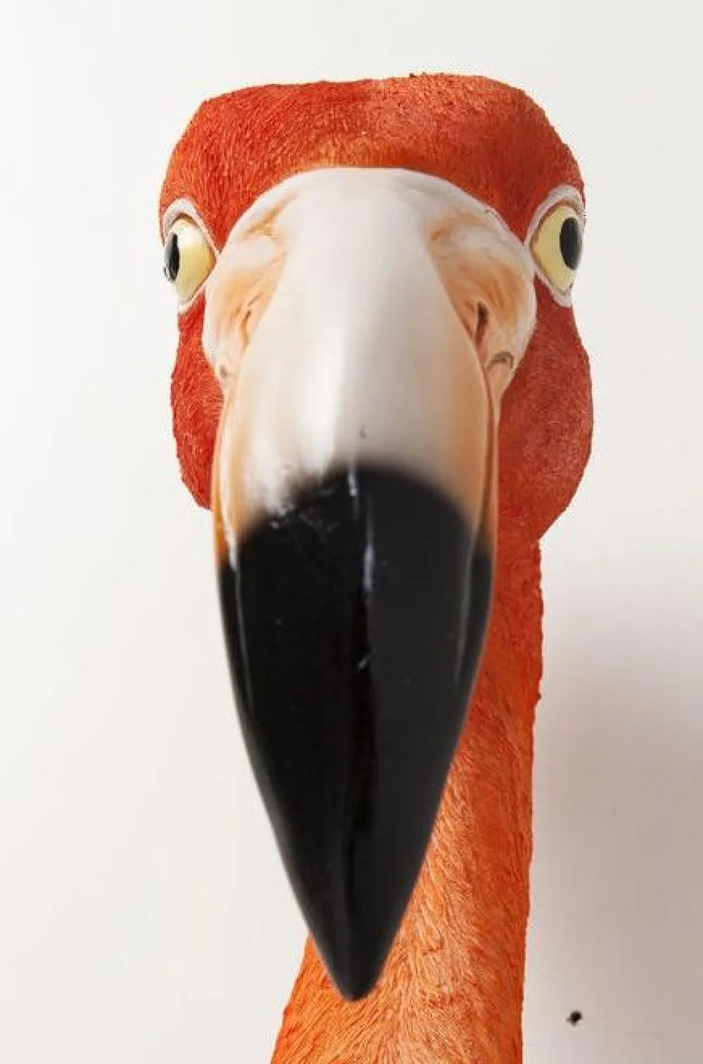 wanddecoratie_flamingo_road_cm_3.webp KARE Design Wanddecoratie Flamingo Road 72cm