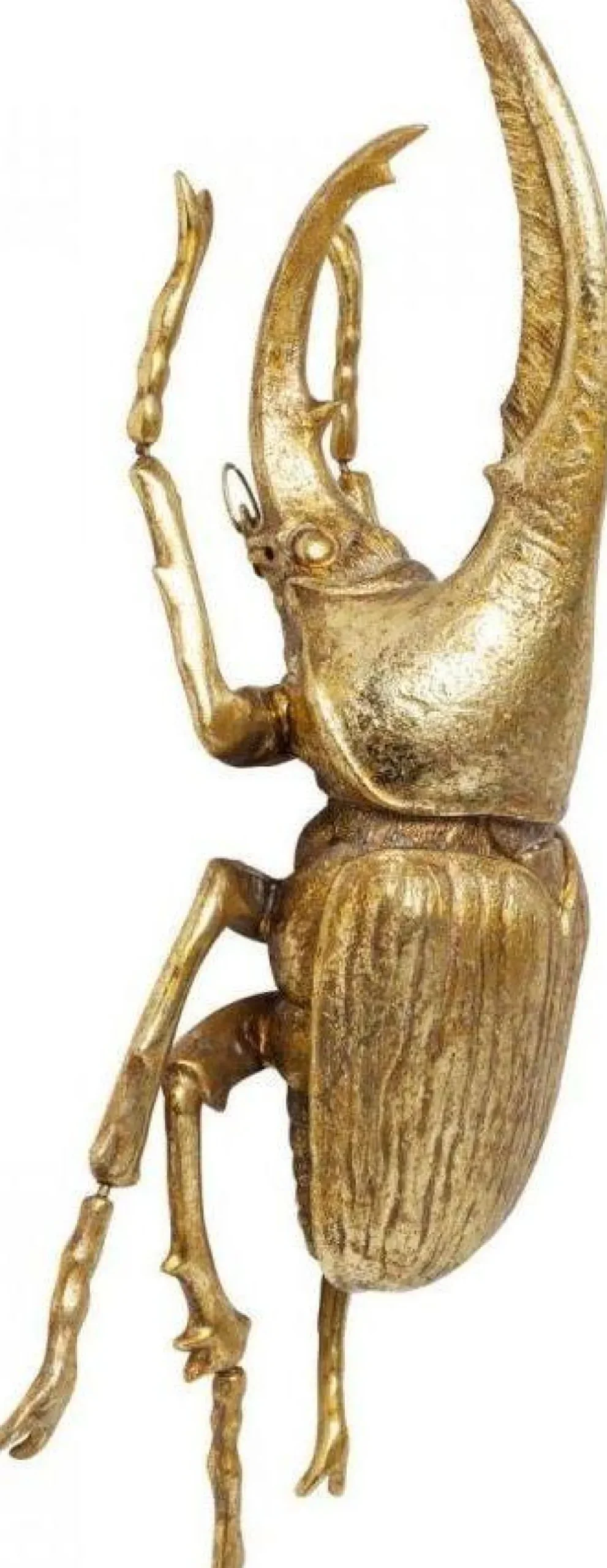 wanddecoratie_herkules_beetle_goud_1.webp KARE Design Wanddecoratie Herkules Beetle Goud