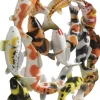 KARE Design Wanddecoratie School Of Koi Colore 102cm